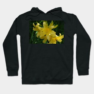 Flowers Blooming. Hoodie